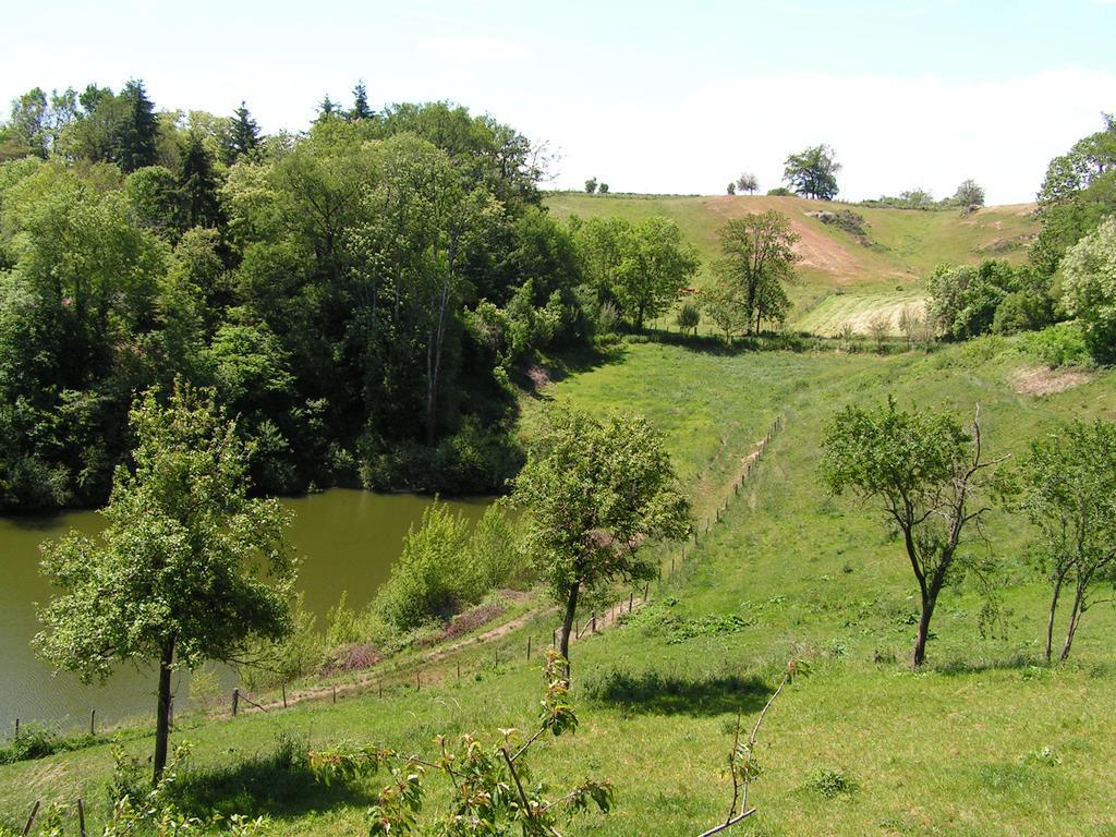 Saint-Félix-de-Lunel Gite De Carbonies מראה חיצוני תמונה